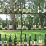 Celebrating Sauvignon Blanc 