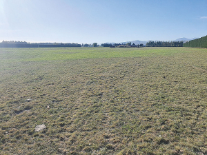 Southland is facing one of its worst droughts, according to some farmers. Photo Credit: Anieka Templer.