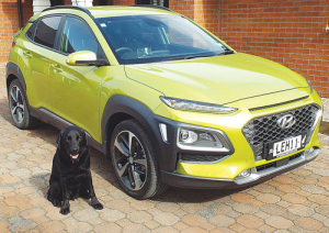 Hyundai Kona.