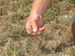 Most major banks are offering some assistance for drought stricken farmers.