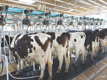 Milk processors and emissions