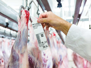 Confidence in the meat sector is strong due to good returns for beef, lamb and mutton.