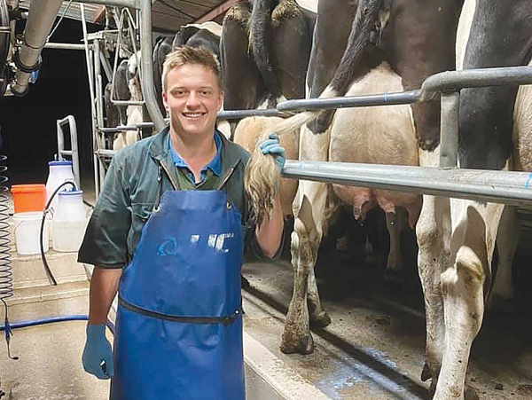 Young Farmer Milking Cows