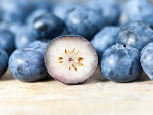 Blueberries will still be available this Christmas season.