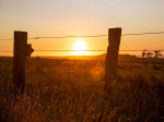 Biosecurity Taranaki a &#039;milestone&#039; for region