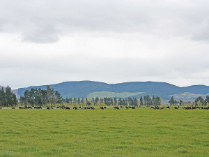 New Zealand Rural Land Company director Christopher Swasbrook says the company will always be majority New Zealand-owned.