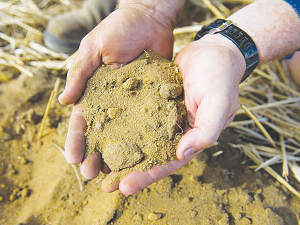 An A$7 million programme to boost dairy soil health has been launched in Victoria.