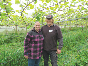 South Auckland kiwifruit growers Brett and Fenella Wheeler took out the supreme title in the Auckland Ballance Farm Environment Awards this year.