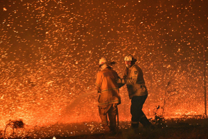 Fonterra unaffected by Oz bushfires