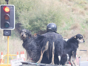 Connectedness and belonging helped people in rural communities stay positive over the Covid-19 pandemic.