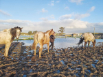 The new handbook provides practical step-by-step advice to help lifestylers and landowners to create a detailed emergency plan to keep themselves, their family and their animals safe. Photo credit: Auckland Council.
