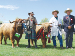 A new biosecurity and traceability plan for the recent Carterton A&amp;P show ensured that cattle attending the event were adequately managed from a NAIT perspective.