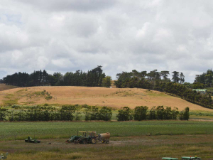 Parts of Northland are facing extreme heat and poor grass growth.