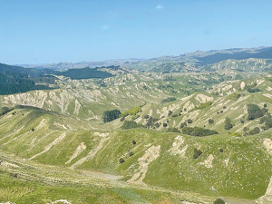 Slips on Wairarapa hill country farms have taken out infrastructure such as fences, culverts, floodgates and tracks. Photo Credit: Ed Harrison.