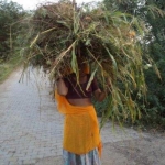 International day of Rural Women